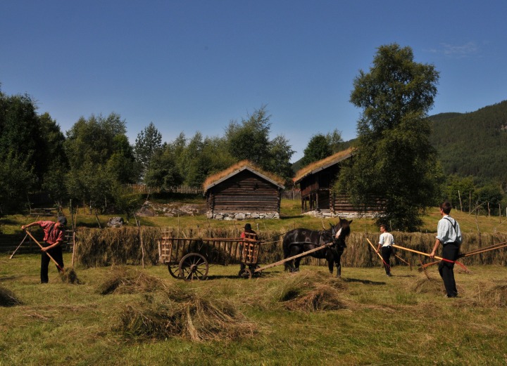 Handlingsplan For Kulturlandskap | Nasjonalt Museumsnettverk For ...